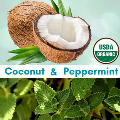 CocoPull Organic Travel Sachets Coconut Oil Pulling Fresh Breath Mouthwash | USDA