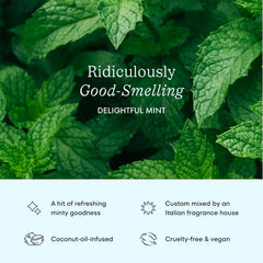 Cocofloss Expanding Woven Dental Floss by Cocolab, Waxed Tooth Floss for Daily Oral Care, Coconut Oil Infused, Vegan, for Adults and Kids, Mint Scent, 3 Pack